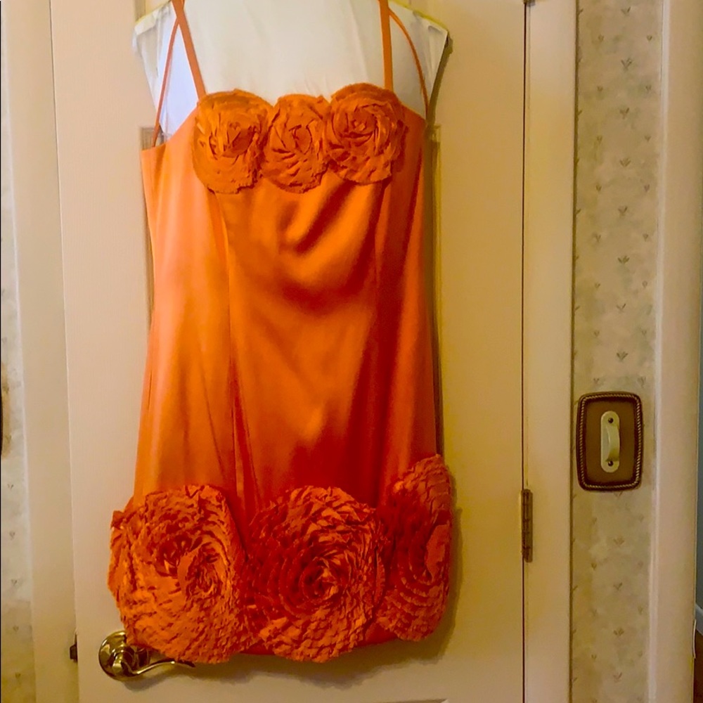Cocktail Dress